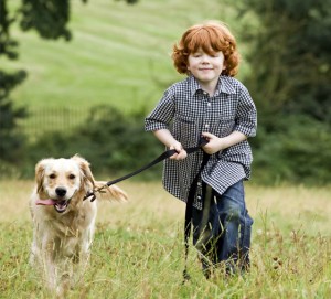 boy walking dog